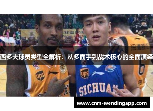 西多夫球员类型全解析：从多面手到战术核心的全面演绎