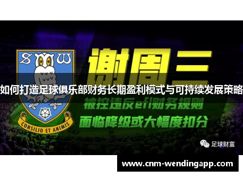 如何打造足球俱乐部财务长期盈利模式与可持续发展策略