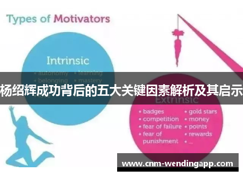 杨绍辉成功背后的五大关键因素解析及其启示 杨绍辉成功背后的五大关键因素解析及其启示