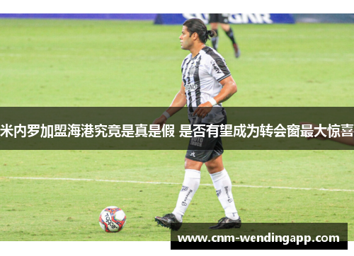 米内罗加盟海港究竟是真是假 是否有望成为转会窗最大惊喜