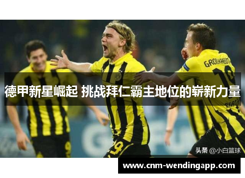 德甲新星崛起 挑战拜仁霸主地位的崭新力量