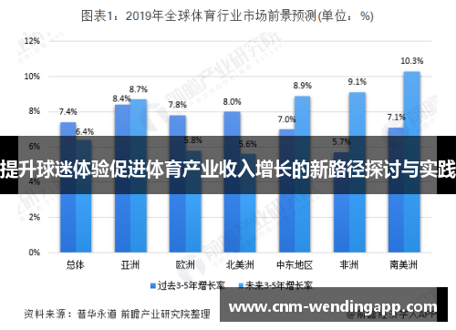 提升球迷体验促进体育产业收入增长的新路径探讨与实践