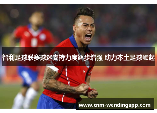 智利足球联赛球迷支持力度逐步增强 助力本土足球崛起