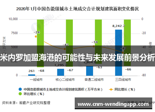 米内罗加盟海港的可能性与未来发展前景分析 米内罗加盟海港的可能性与未来发展前景分析