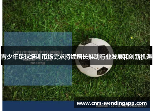 青少年足球培训市场需求持续增长推动行业发展和创新机遇 青少年足球培训市场需求持续增长推动行业发展和创新机遇