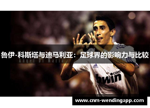 鲁伊-科斯塔与迪马利亚:足球界的影响力与比较 鲁伊-科斯塔与迪马利亚:足球界的影响力与比较