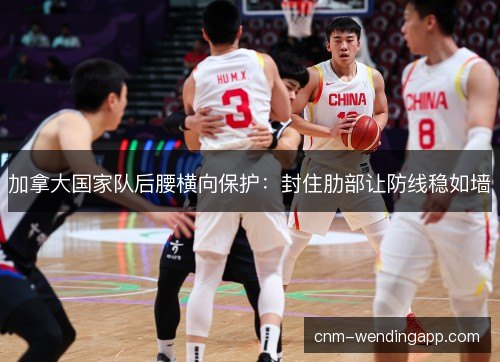 加拿大国家队后腰横向保护:封住肋部让防线稳如墙 加拿大国家队后腰横向保护:封住肋部让防线稳如墙