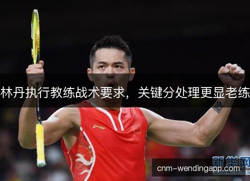 林丹执行教练战术要求，关键分处理更显老练